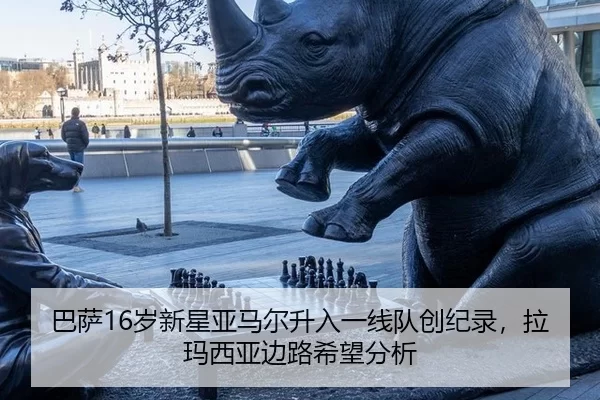 ba-sa-sui-xin-xing-ya-ma-er-sheng-ru-yi-xian-dui-chuang-ji-lu-la-ma-xi-ya-bian-lu-xi-wang-fen-xi-2-976.jpg